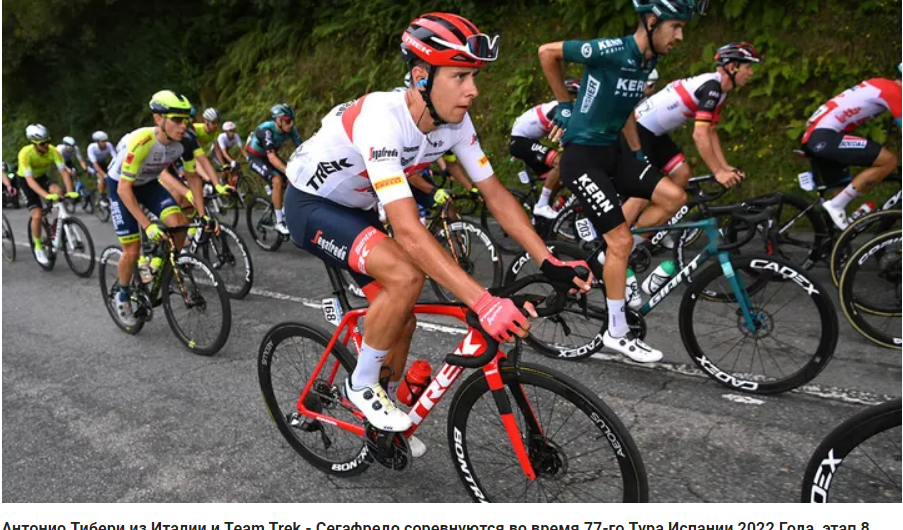 Итальянский велосипедист отстранен от работы, оштрафован после стрельбы по кошке политика