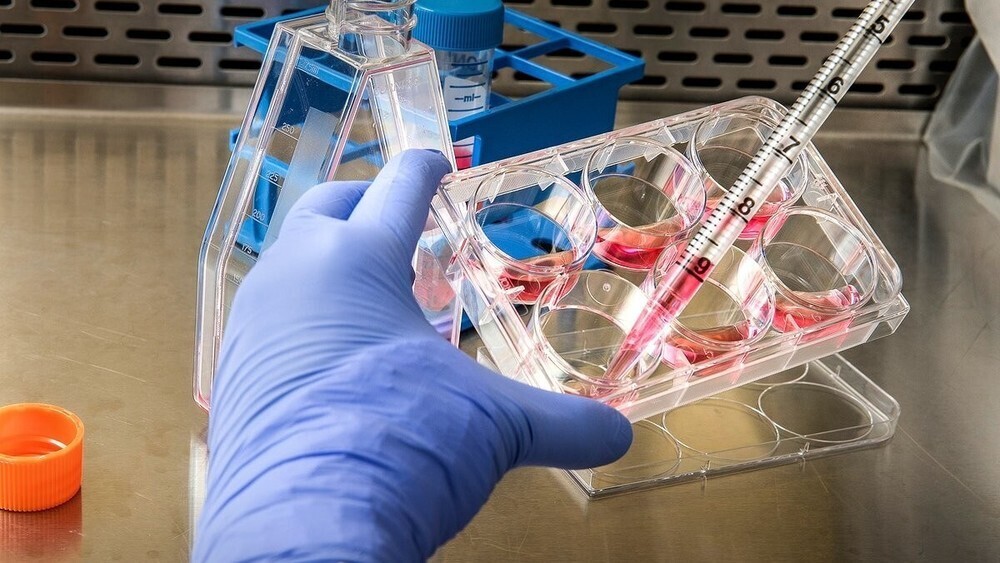 Лучшее здравоохранение в мире: Действительно ли оно такое, каким вы его считаете?