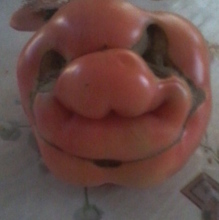 Виктор Сайфутдинов, г. Красноперекопск