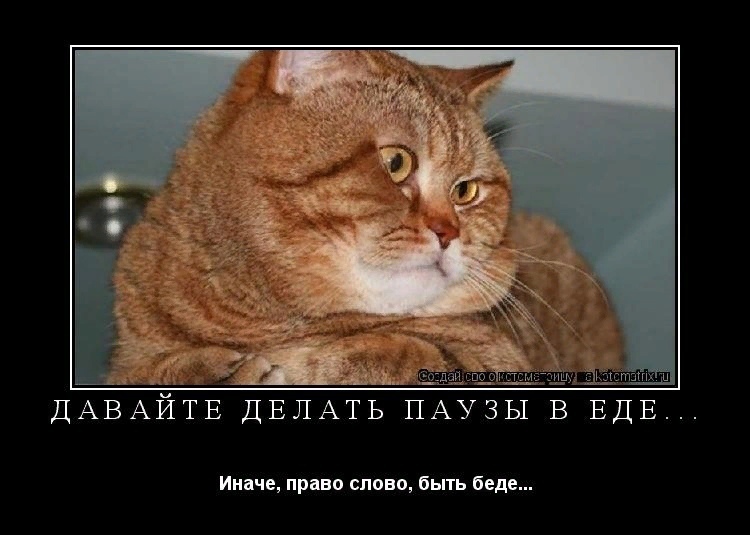 Мартовские коты, или весна идет, весне дорогу!