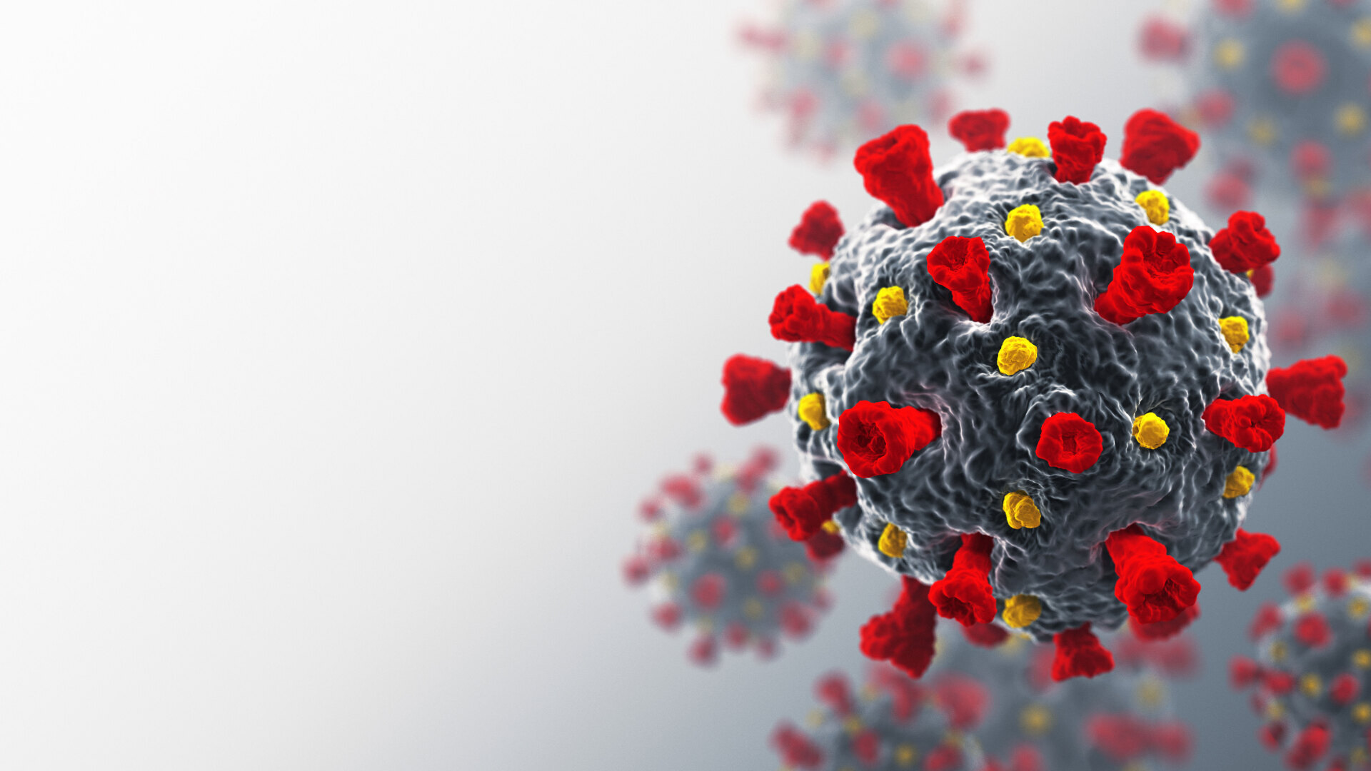 ФБР обвиняет Китай в попытке «помешать и запутать» расследование происхождения Covid