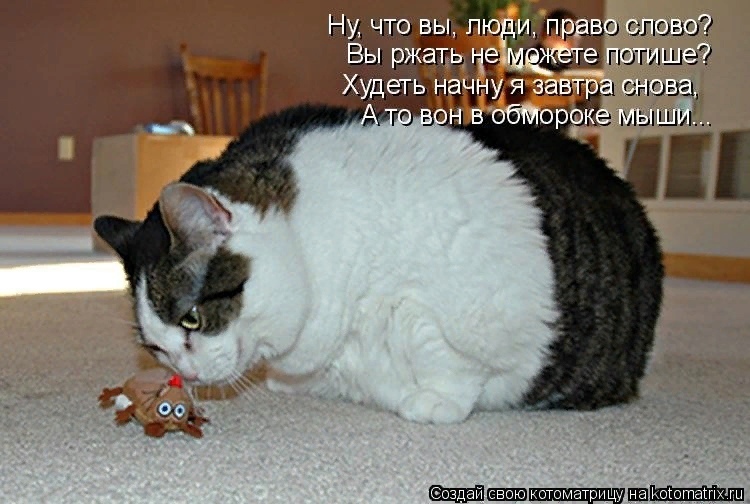 Мартовские коты, или весна идет, весне дорогу!