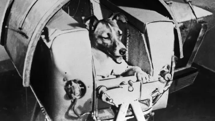 7 десятилетий Советского Союза!