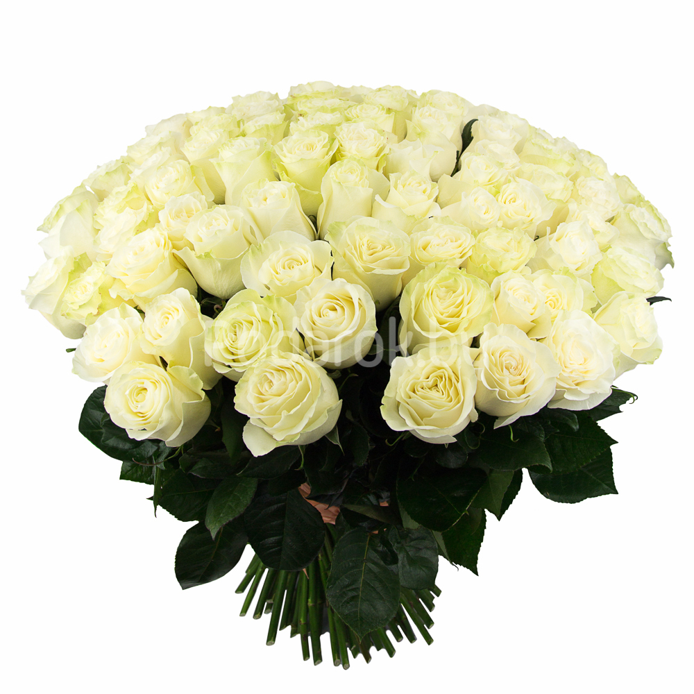 О чем же говорят цветы. Флюрографика.