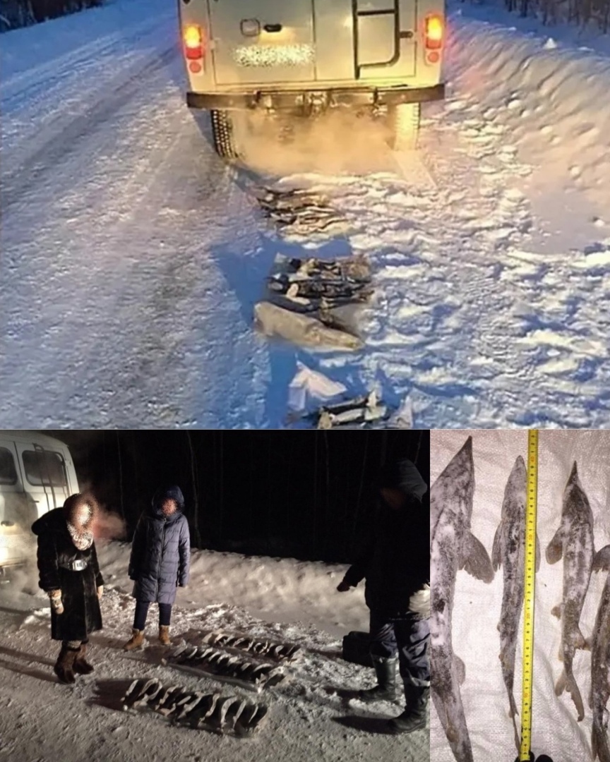 Десять миллионов штрафа за незаконный вылов осетра. Не возможность оплатить штраф и печальные последствия этого.