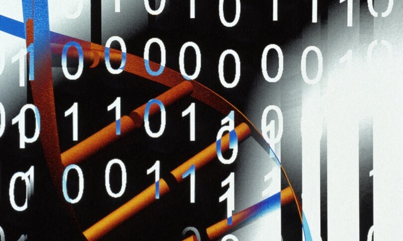 Биокомпьютер, питающийся от человеческих клеток, становится все ближе и ближе