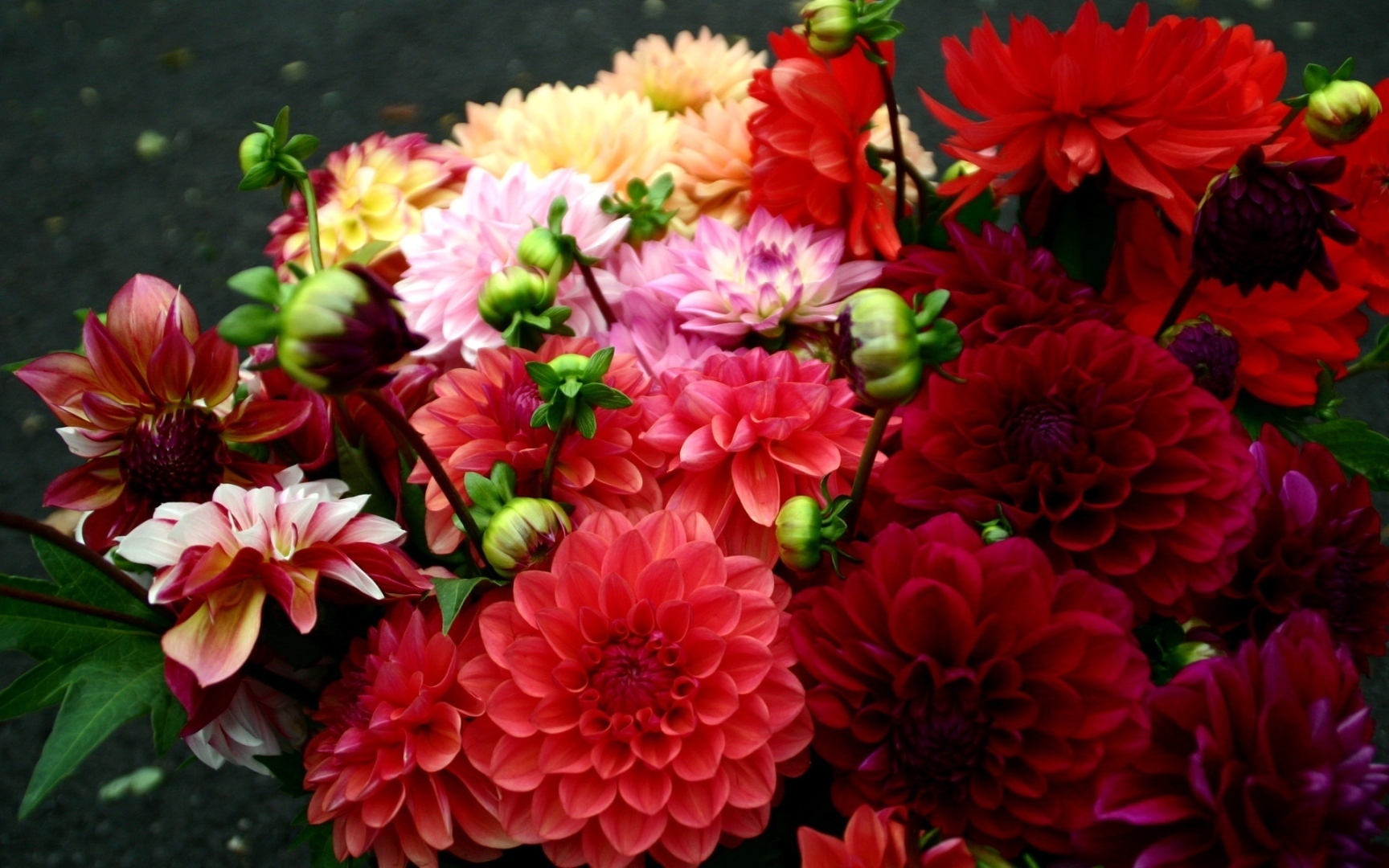 О чем же говорят цветы. Флюрографика.