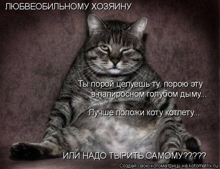 Мартовские коты, или весна идет, весне дорогу!