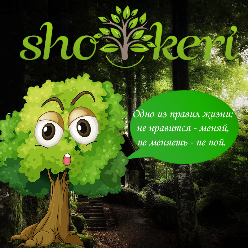 Наш финансовый план по избавлению от долгов