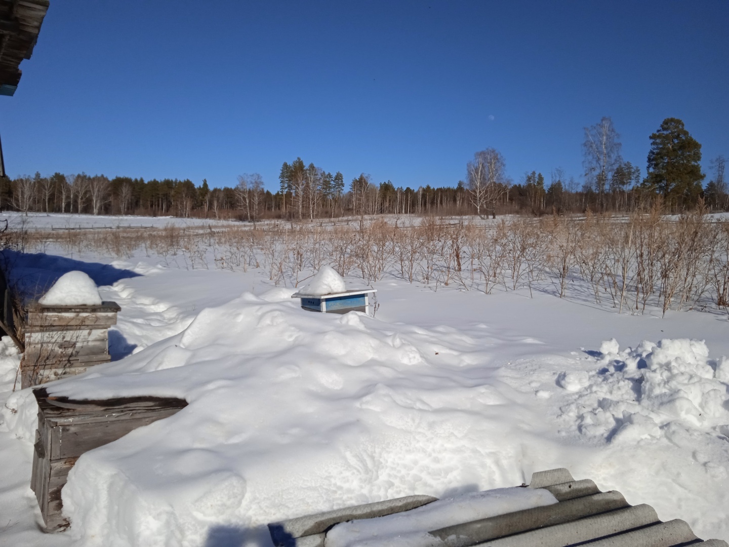 Домик в деревне или как мы переезжали жить в деревню (продолжение)