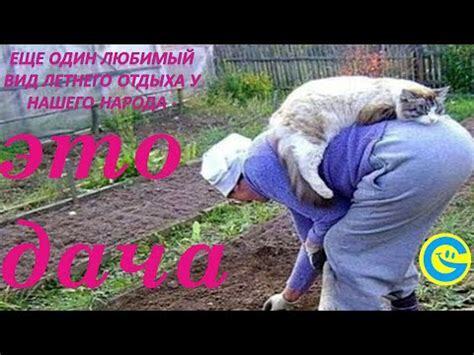 Пора готовить грядки.