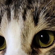 Геннадий, г. Тула