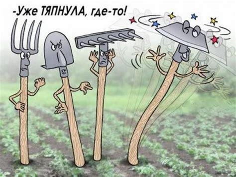 Пора готовить грядки.