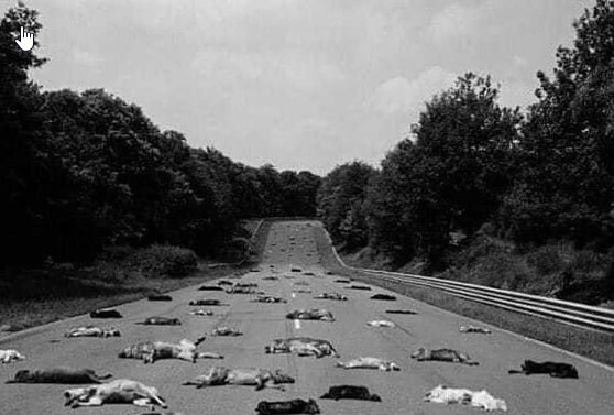 Дорога к морю