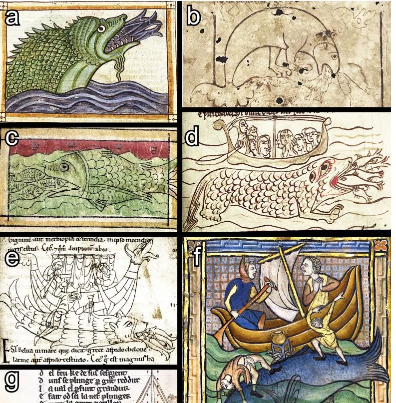 Кракен? Русалка? Мифические морские монстры могли быть китами, ведущими себя странно.