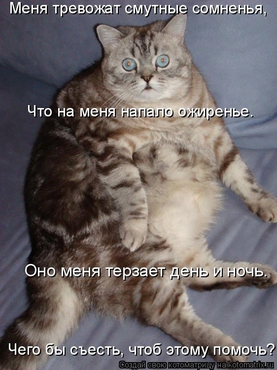 Мартовские коты, или весна идет, весне дорогу ( ч. 2)