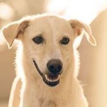 Павел, г. Москва