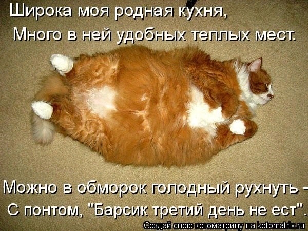 Мартовские коты, или весна идет, весне дорогу ( ч. 2)