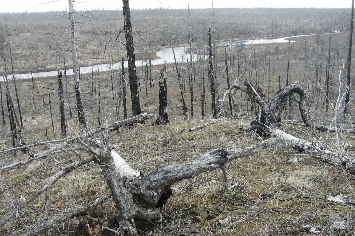 Проклятое место: Долина смерти в Якутии.