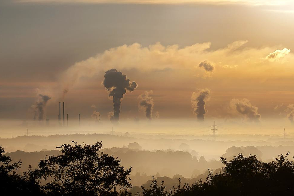 Чем грозит глобальное потепление и как это исправить?