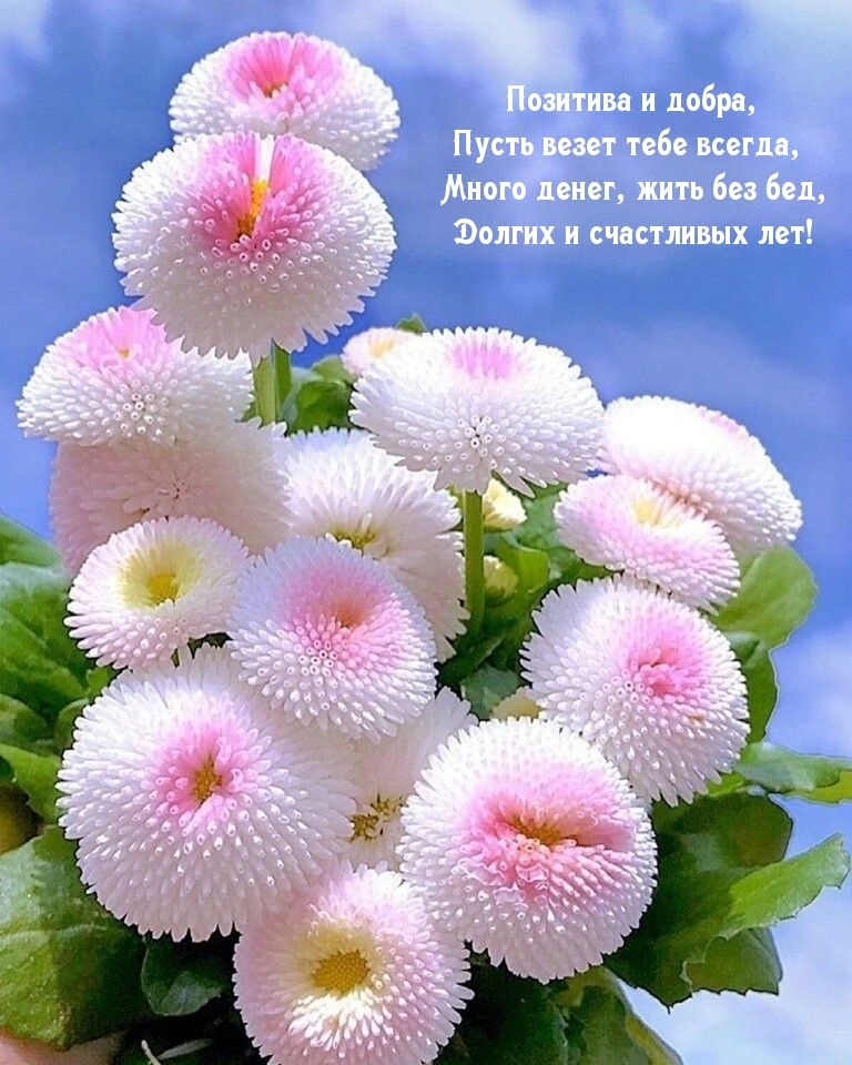 Поздравление Нине Р. с ДР