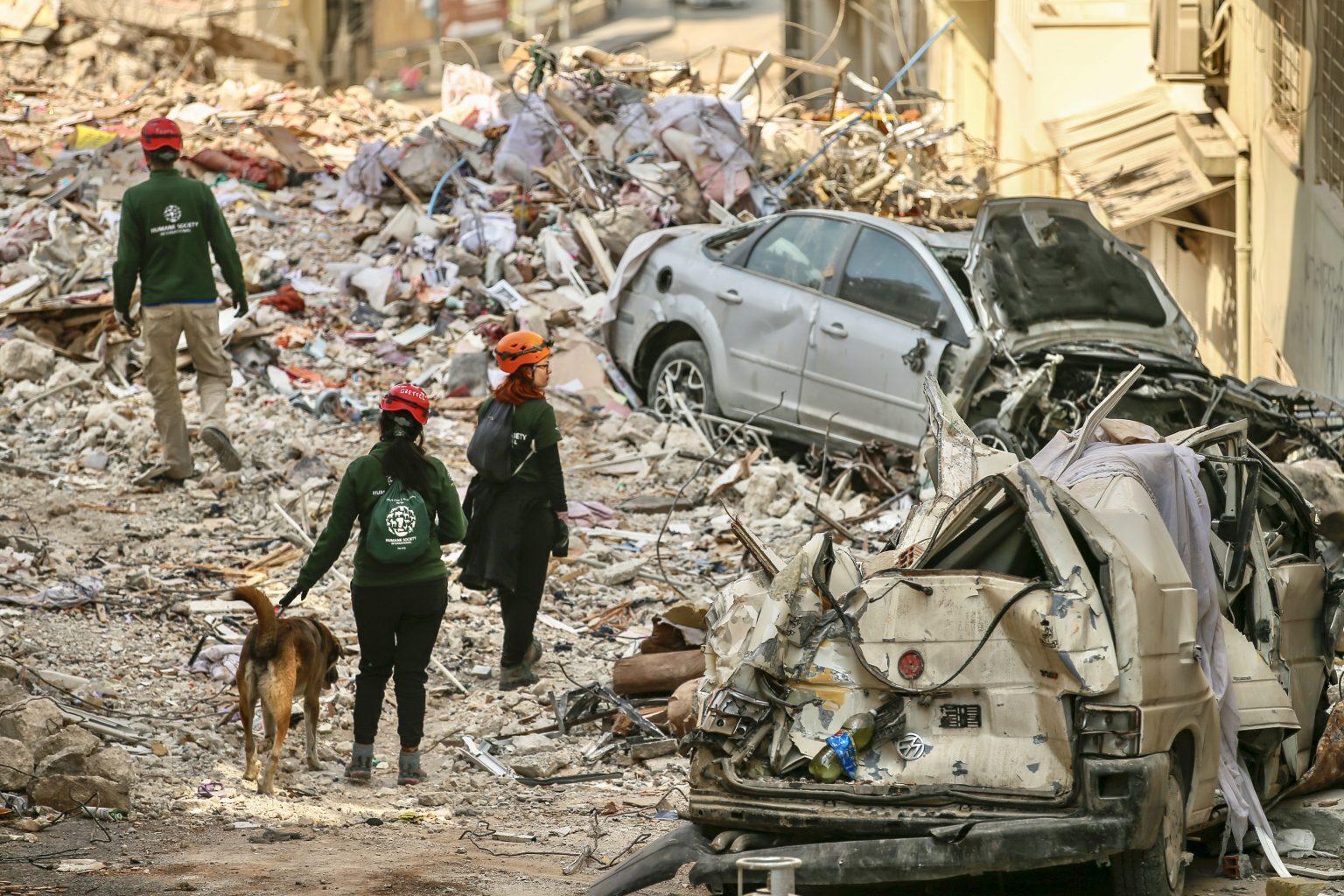 Надежда все еще жива, так как после разрушительного землетрясения в Турции было спасено более 1500 животных
