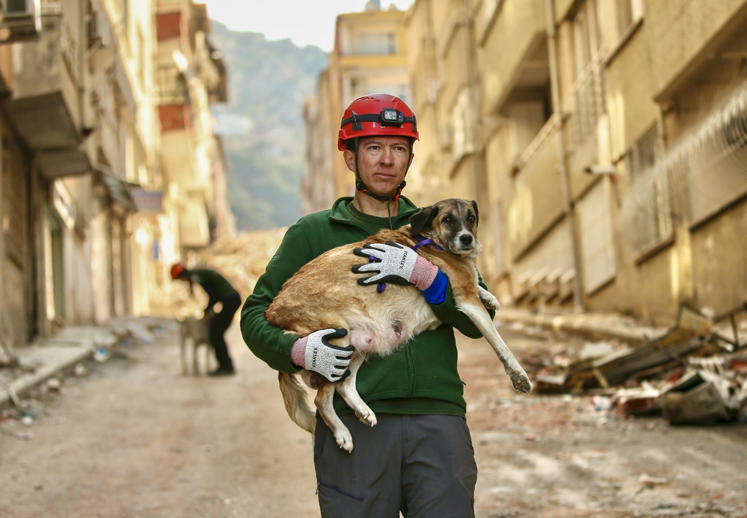 Надежда все еще жива, так как после разрушительного землетрясения в Турции было спасено более 1500 животных