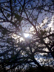 Вопрос: "А что, есть издания Библии не канонические"?