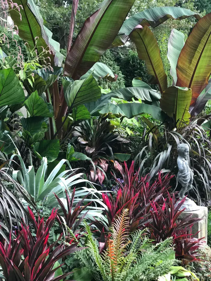 Есть причина, по которой эти тропические растения выглядят достаточно хорошо, чтобы их можно было есть