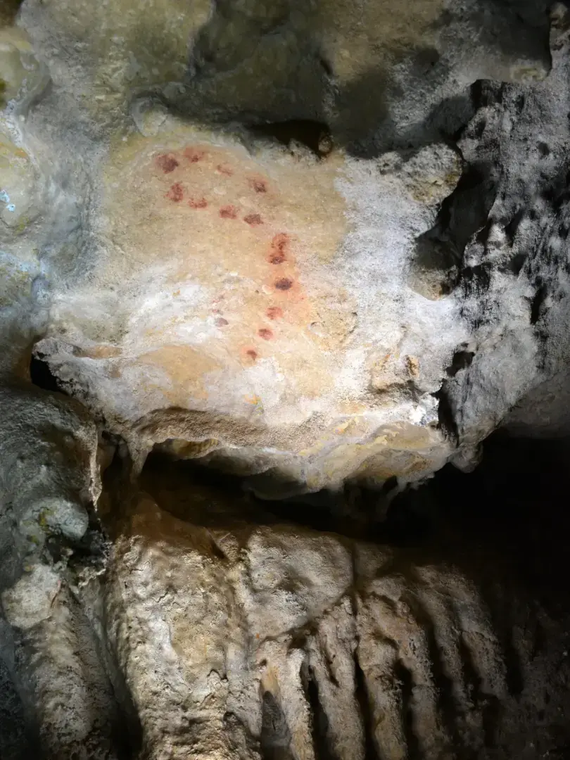 Древняя ДНК раскрывает историю охотников-собирателей в Европе