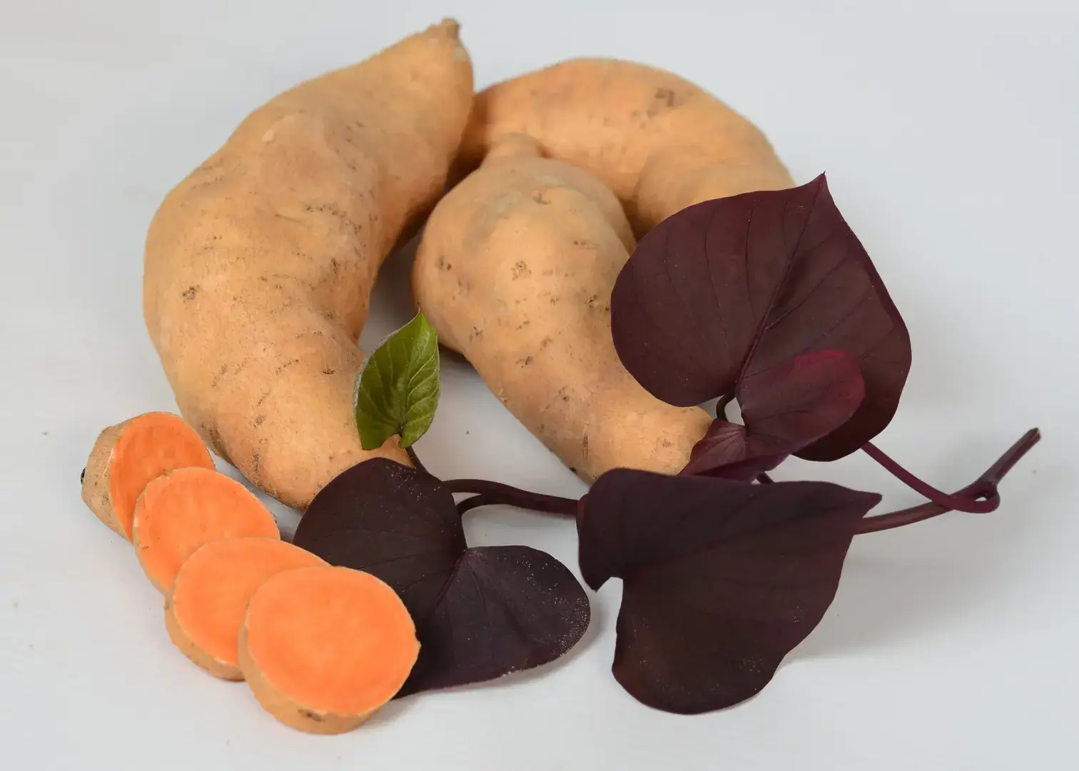 Есть причина, по которой эти тропические растения выглядят достаточно хорошо, чтобы их можно было есть