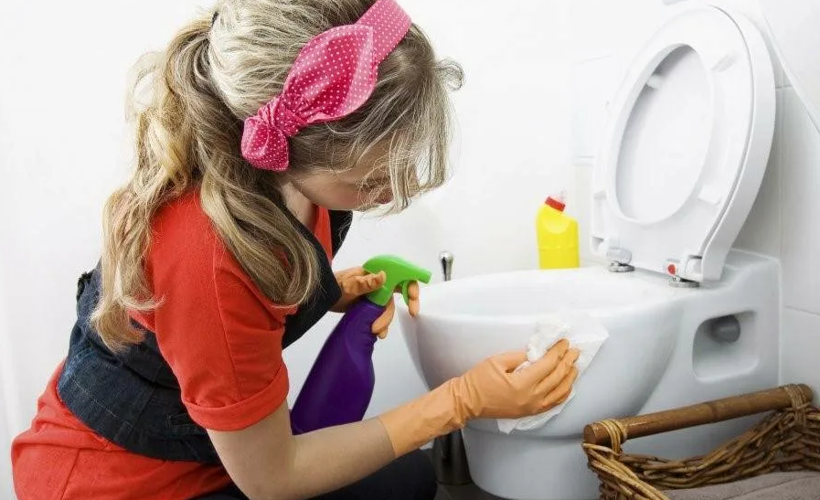 9 законов уборки туалета и ванной в Германии . А вы знали об этом?