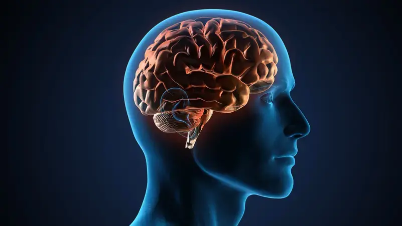 Хорошие новости. Научные инновации способствуют восстановлению поврежденной ткани мозга.