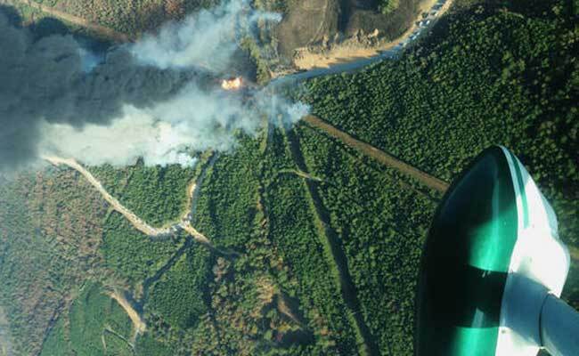 Шесть человек погибли в Алабаме из-за торнадо, обрушившегося на юг США