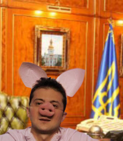 Немцы устали кормить - свинью Зеленского .