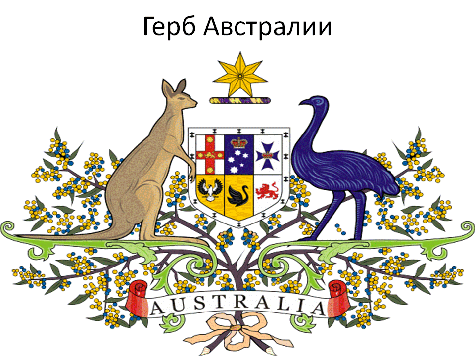 9 фактов об Австралии