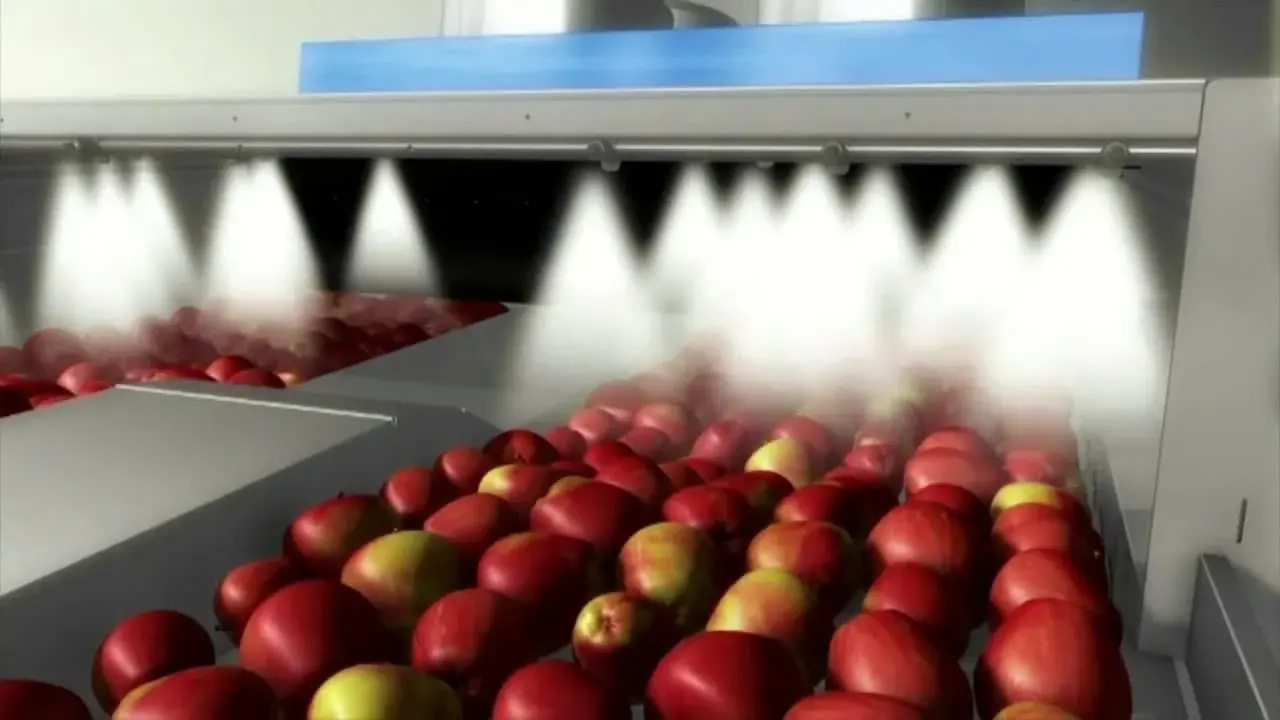 Обработка фруктов воском. Польза или вред?