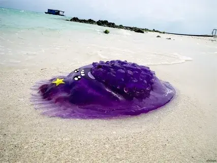 Удивительные факты о животных