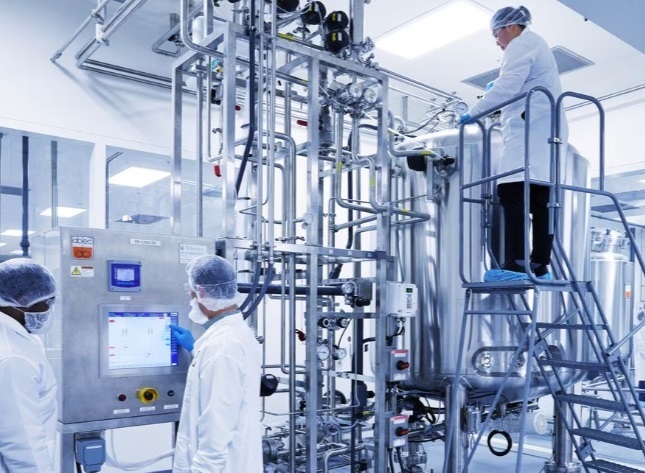 Рыбный пузырь для гурманов догоняет курицу, говядину по прибыльности в Сингапуре, когда речь идет о лабораторном мясе