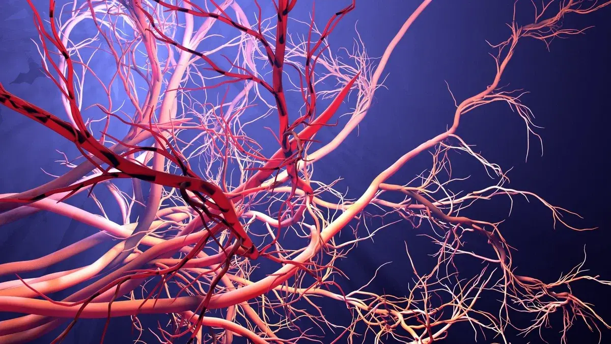 5 забавных фактов для общего развития