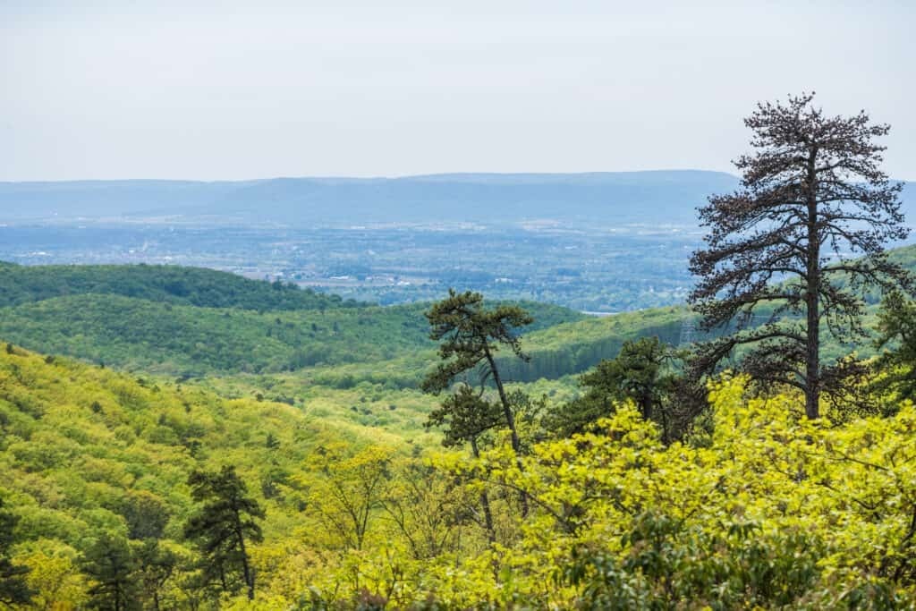 Самая сильная мартовская метель .