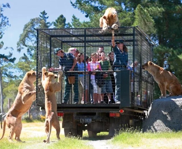Все на своем месте!