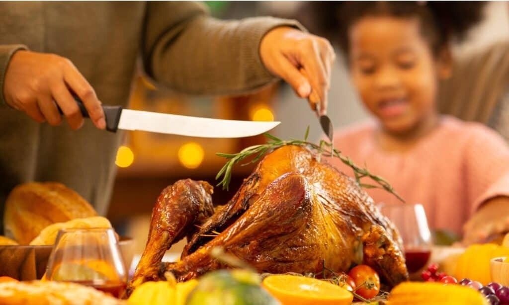 Могут ли индюки летать.