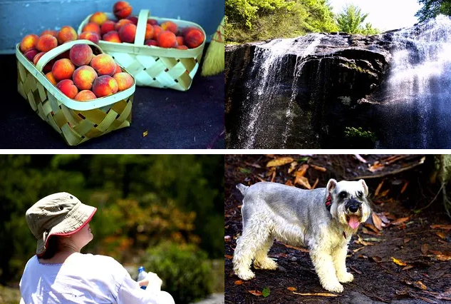 Малиновые батончики для завтрака