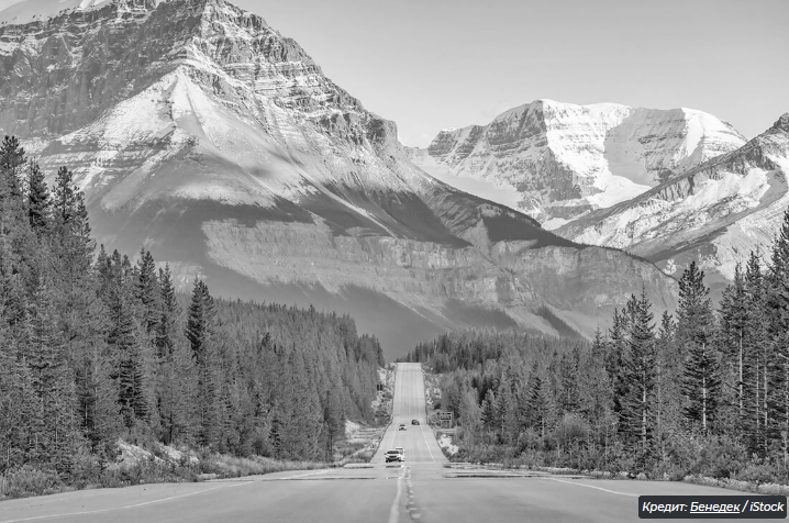 6 недооцененных фактов о крысах