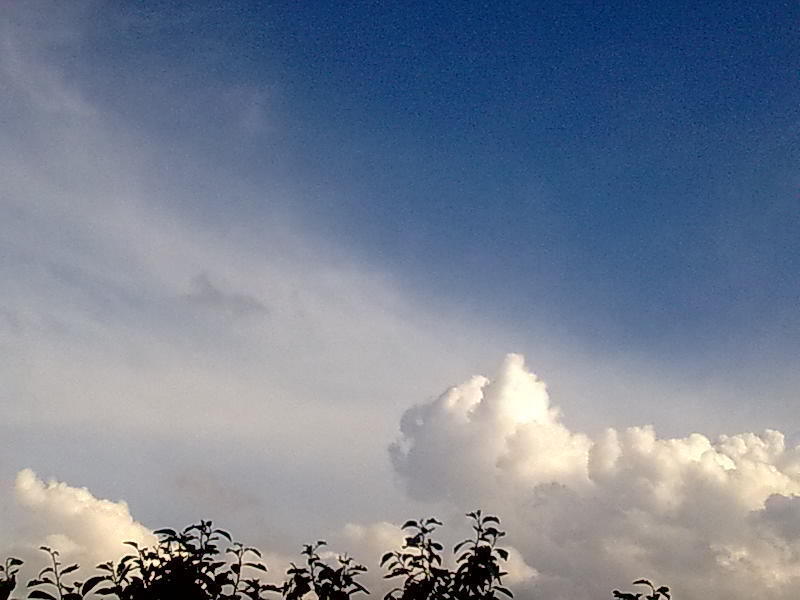 Небесные полотна