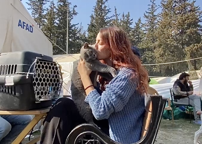 Надежда еще жива: в Турции после разрушительного землетрясения спасено более 1500 животных