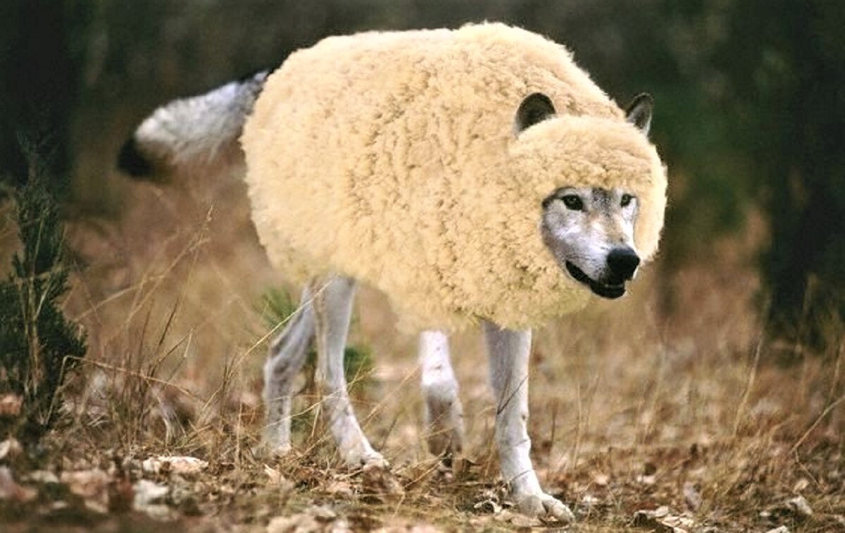 5,7 миллиона рублей за банкомат: грабители ворвались в банк с коробками и веревками в Хабаровском крае.