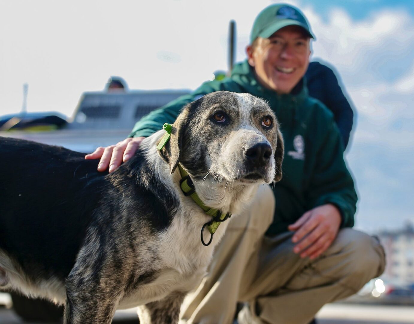 Надежда еще жива: в Турции после разрушительного землетрясения спасено более 1500 животных