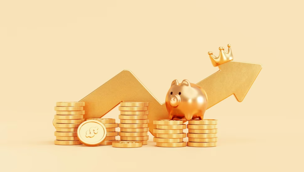 Проблема финансовых пирамид в России.